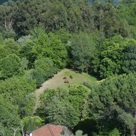 Casa Sao Bernardo De Claraval Pensión