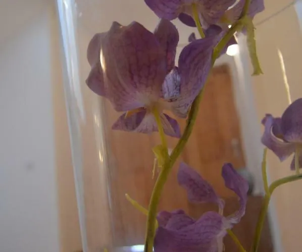 Casa Sao Bernardo De Claraval Pensión Gerês